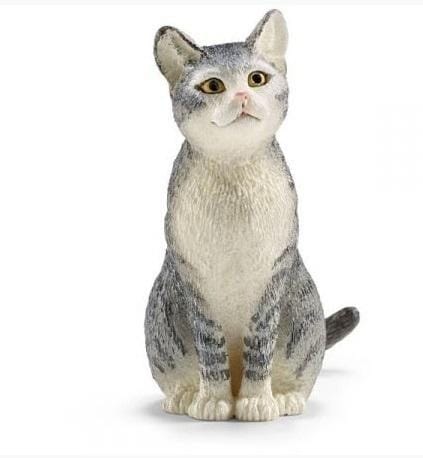 ⁨Sitting cat⁩ at Wasserman.eu