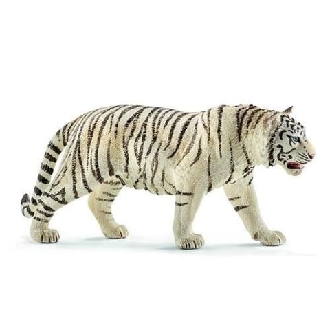 ⁨White tiger⁩ at Wasserman.eu
