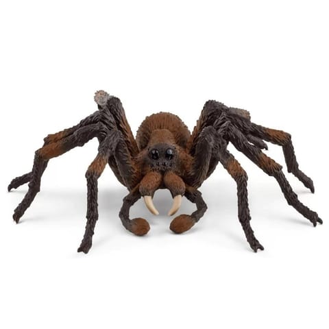 ⁨Schleich 13987 Aragog⁩ at Wasserman.eu