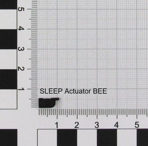 ⁨Nintendo ACT/SLEEP (K1) BEE⁩ w sklepie Wasserman.eu