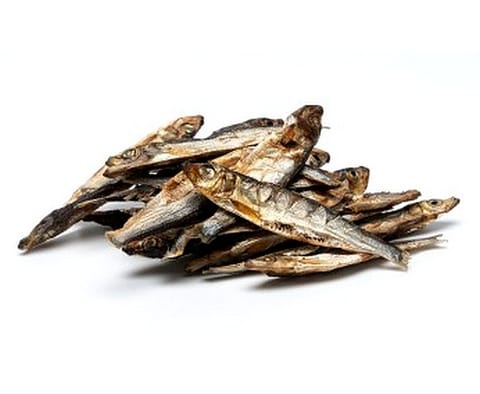 ⁨IdeaPet Szprota 100g⁩ w sklepie Wasserman.eu