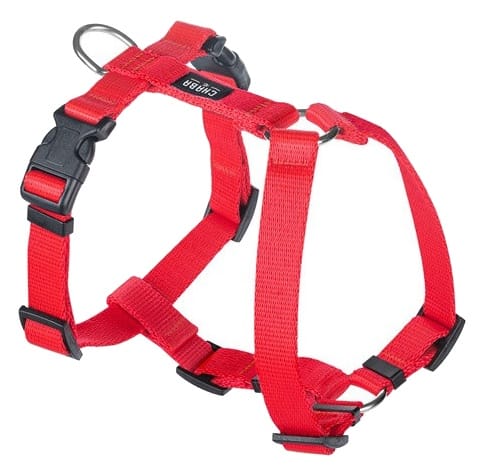 ⁨CHABA Guard L harness 2,5cm red⁩ at Wasserman.eu