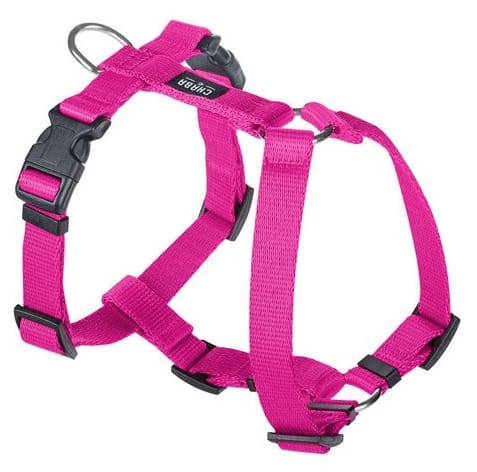 ⁨CHABA Braces Guard L 2,5cm fuchsia⁩ at Wasserman.eu