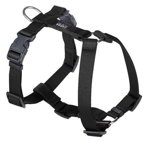 ⁨CHABA Guard M harness 2,0cm black⁩ at Wasserman.eu