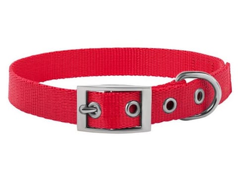 ⁨CHABA Collar smooth lux 1,6x46cm red⁩ at Wasserman.eu