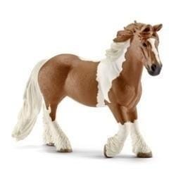 ⁨Tinker mare⁩ at Wasserman.eu