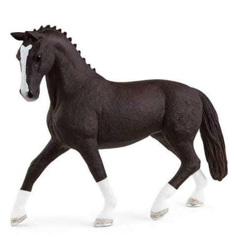 ⁨Horse Stallion of the Ha noverian breed⁩ at Wasserman.eu