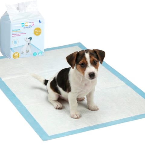 ⁨PODKŁAD TRENINGOWY HIGIENICZNY DLA PSA 20SZT DOGS COLLECTION⁩ w sklepie Wasserman.eu