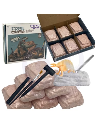 ⁨WOOPIE Wykopalisko 6w1 Dinozaur Szkielet Mały Archeolog 6 szt.⁩ w sklepie Wasserman.eu