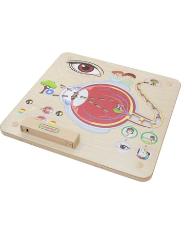 ⁨MASTERKIDZ Tablica Edukacyjna Zmysł Wzroku Montessori⁩ w sklepie Wasserman.eu