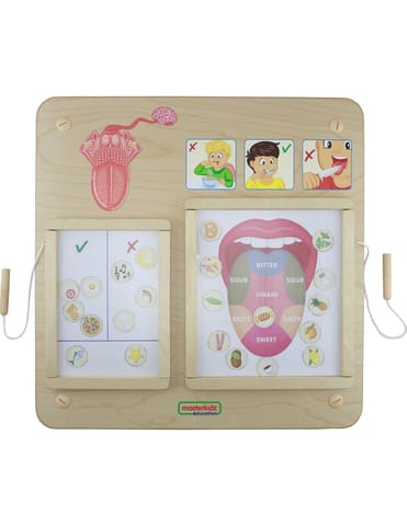 ⁨MASTERKIDZ Tablica Edukacyjna Zmysł Smaku Montessori⁩ w sklepie Wasserman.eu
