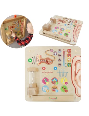 ⁨MASTERKIDZ Tablica Edukacyjna Zmysł Słuchu Montessori⁩ w sklepie Wasserman.eu