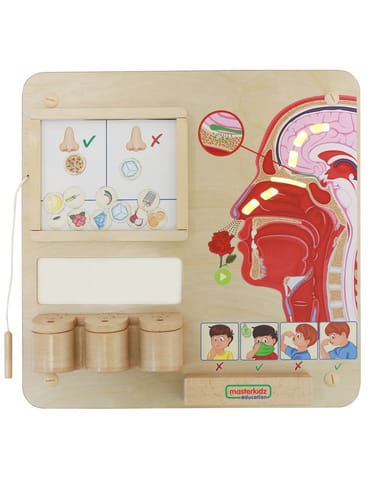 ⁨MASTERKIDZ Tablica Edukacyjna Zmysł Węchu Montessori⁩ w sklepie Wasserman.eu