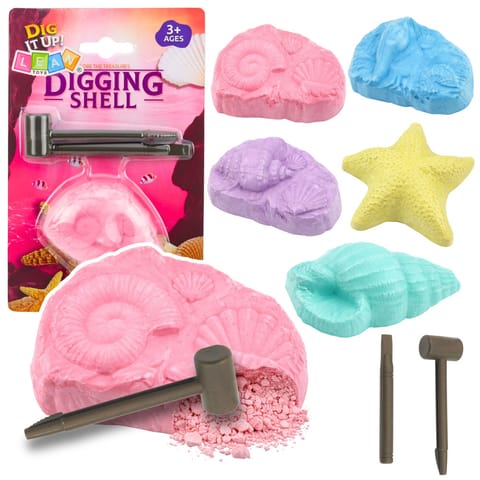 ⁨Morski Zestaw Archeologiczny Morskie Skamieniałości Muszle Narzędzia⁩ w sklepie Wasserman.eu