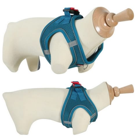 ⁨Zolux Szelki oddychające z siatki XL turkusowe⁩ w sklepie Wasserman.eu