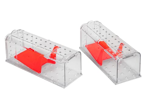 ⁨Żywołapka XTREME MR-14 2 Sztuki"⁩ w sklepie Wasserman.eu