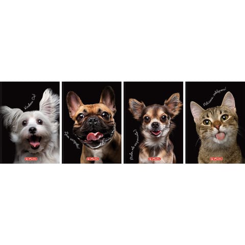 ⁨Brulion A6 80k kratka CRAZY ANIMAL 400196850 HERLITZ⁩ w sklepie Wasserman.eu