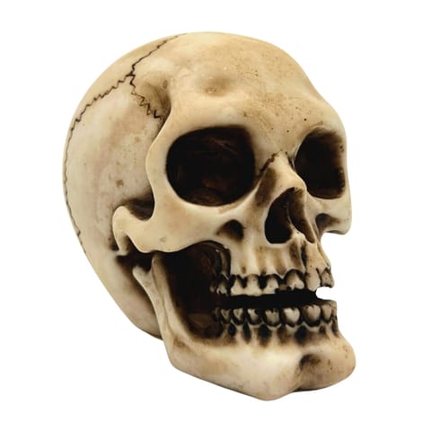 ⁨Czaszka Figurka Model Dekoracja Halloween Gadżet Prezent - MC-30683⁩ w sklepie Wasserman.eu