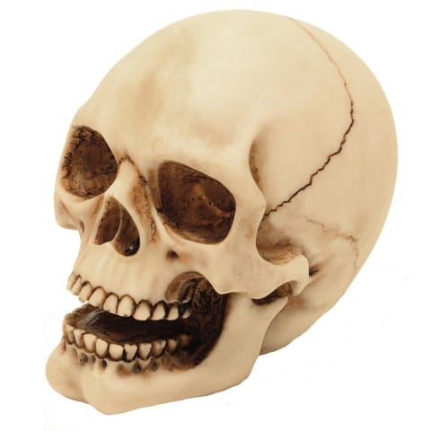 ⁨Figurka Czaszka 10cm Dekoracja– MC-30684⁩ w sklepie Wasserman.eu