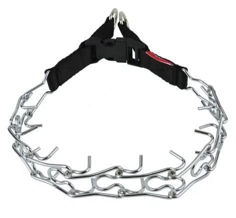 ⁨Champion Echidna [2T]⁩ at Wasserman.eu