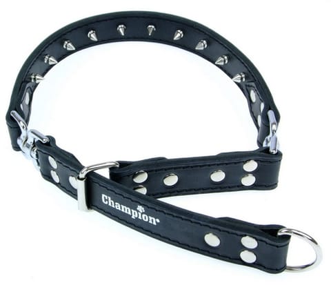 ⁨Champion Leather collar 60-75/3,0 [SOZ 5]⁩ at Wasserman.eu