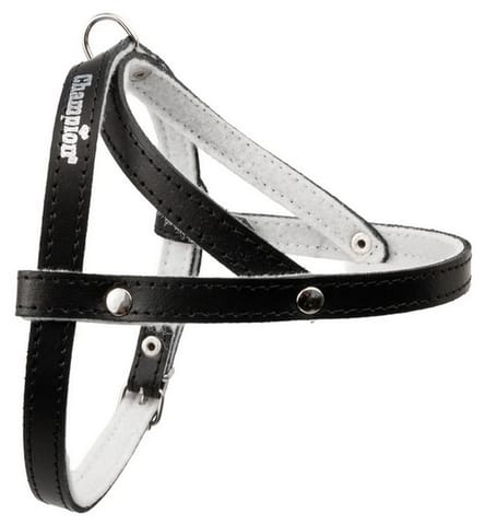 ⁨Champion Suspenders 50 black [SD]⁩ at Wasserman.eu