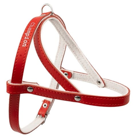 ⁨Champion Braces 60 red [SD(R)]⁩ at Wasserman.eu