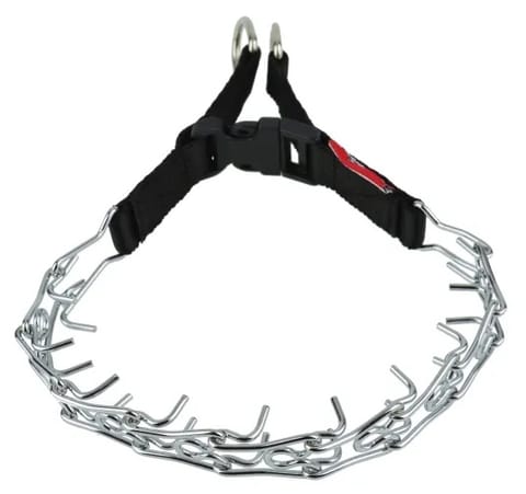 ⁨Champion Echidna [1T]⁩ at Wasserman.eu