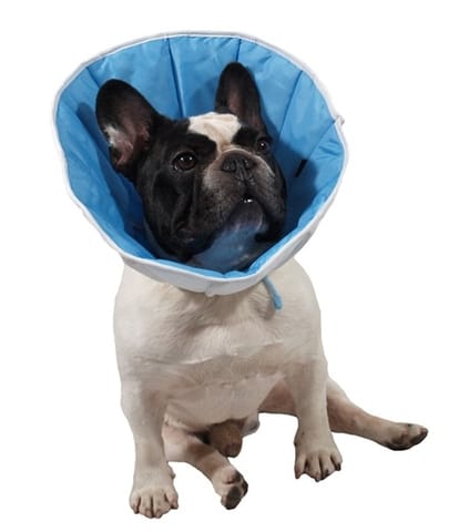 ⁨Grande Finale Kołnierz pozabiegowy z tkaniny rozmiar 0 niebieski [WET/KT/0(XS)]⁩ w sklepie Wasserman.eu