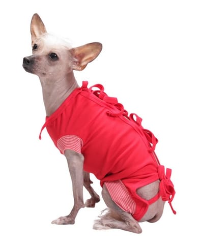 ⁨Grande Finale Koszulka pooperacyjna rozmiar 6 / 60cm czerwona [WET1C]⁩ w sklepie Wasserman.eu