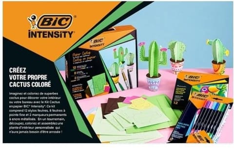 ⁨Zestaw Intensity Paper Cactus BIC⁩ w sklepie Wasserman.eu