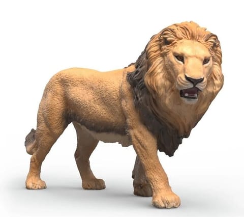 ⁨Lew⁩ w sklepie Wasserman.eu