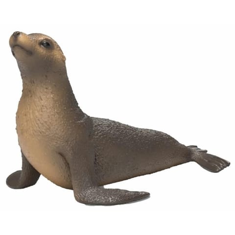 ⁨Lew morski⁩ w sklepie Wasserman.eu