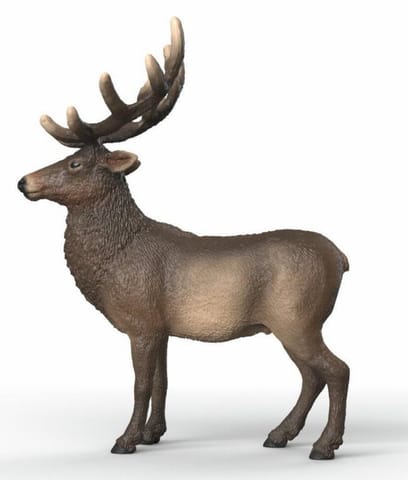 ⁨Łoś⁩ w sklepie Wasserman.eu