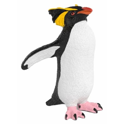 ⁨Pingwin skalny⁩ w sklepie Wasserman.eu
