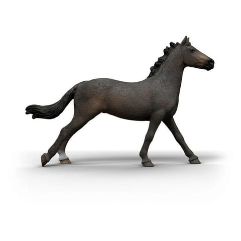 ⁨Angielska klacz rasy pełnej krwi⁩ w sklepie Wasserman.eu