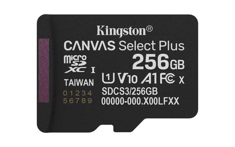 ⁨Kingston 256Gb Micsdxc Canvas Select⁩ w sklepie Wasserman.eu