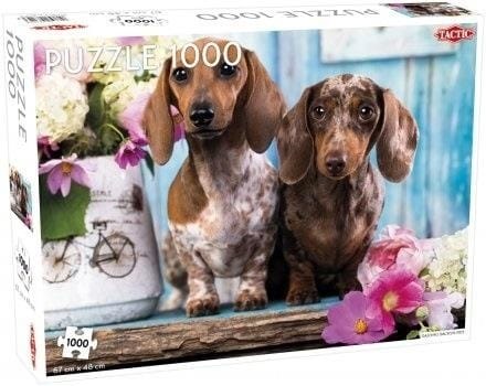 ⁨Puzzle 1000 Dashing Dachshunds⁩ w sklepie Wasserman.eu