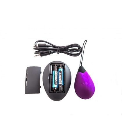 G1 RECHARGEABLE EGG WITH REMOTE CONTROLLER PURPLE w sklepie Wasserman.eu