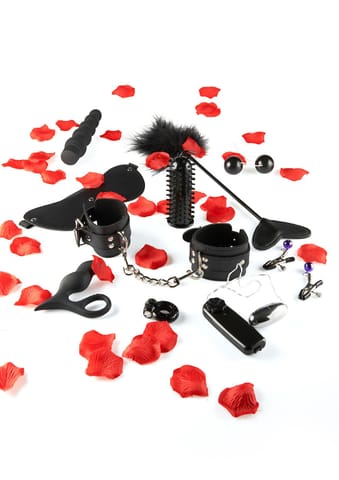 Lovetoy Starter Kit w sklepie Wasserman.eu