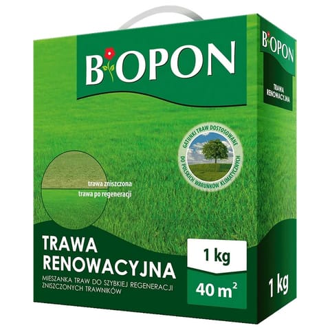 ⁨Nasiona trawa renowacyjna 1kg⁩ w sklepie Wasserman.eu