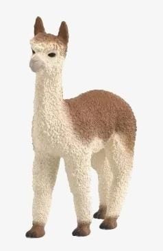 ⁨Alpaka⁩ w sklepie Wasserman.eu