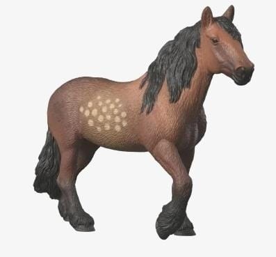 ⁨Klacz rasy North Swedish Zimnokrwista⁩ w sklepie Wasserman.eu