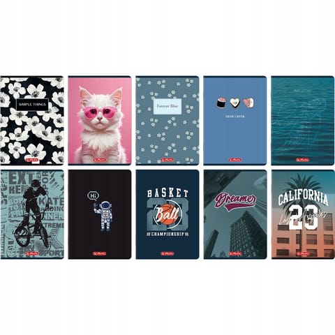 ⁨Zeszyt A5 60k kratka z marginesem mix 400206343 HERLITZ⁩ w sklepie Wasserman.eu