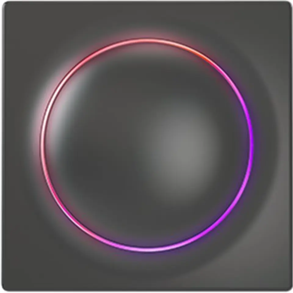 ⁨FIBARO Walli Controller, Black, Z-Wave EU⁩ at Wasserman.eu