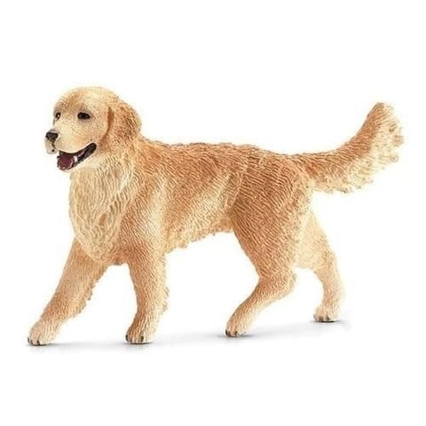 ⁨Golden Retriever suczka⁩ w sklepie Wasserman.eu