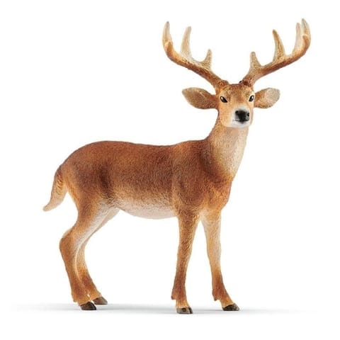⁨Figurine White-tailed buck⁩ at Wasserman.eu