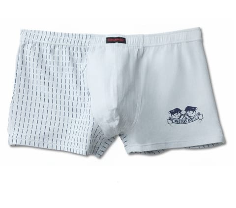 ⁨SHORTS ATLANTIC EMBAJ EEH-045 (Light grey, Size XL (42))⁩ at Wasserman.eu