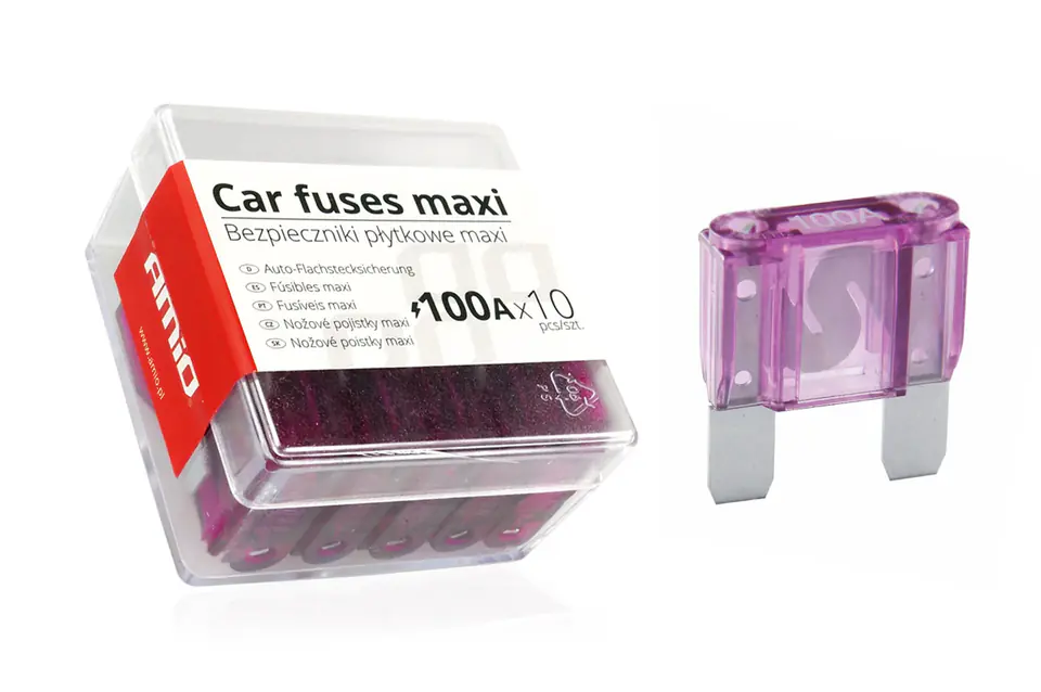 ⁨Car fuses maxi box 10pcs 100a⁩ at Wasserman.eu