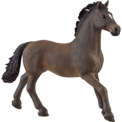 Figure stallion Oldenburg Horse Club at Wasserman.eu
